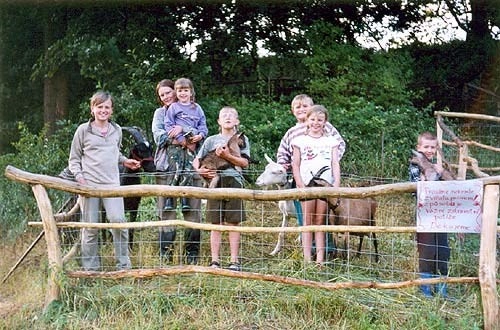 zobacz camping - zdjęcie 6