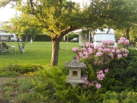 zobacz camping - zdjęcie 21