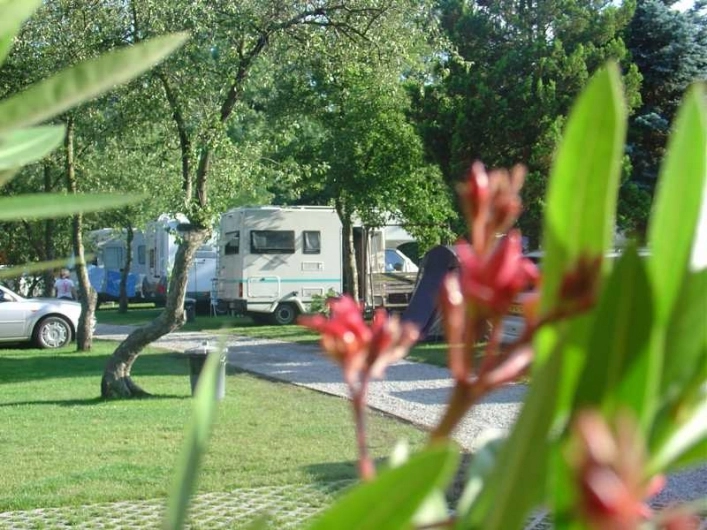 zobacz camping - zdjęcie 8