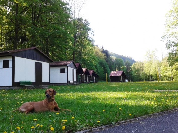 zobacz camping - zdjęcie 7