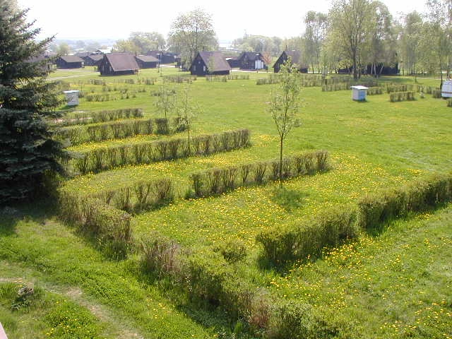 zobacz camping - zdjęcie 16