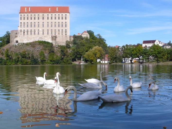 Autocamping Zralok - zdjęcie 4