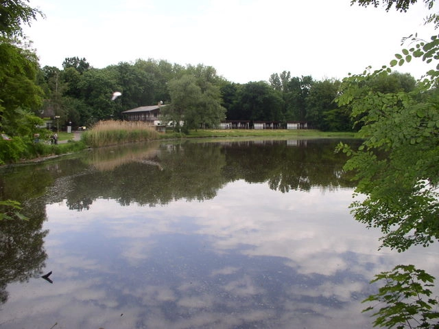 zobacz camping - zdjęcie 6