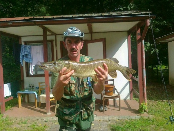 zobacz camping - zdjęcie 4