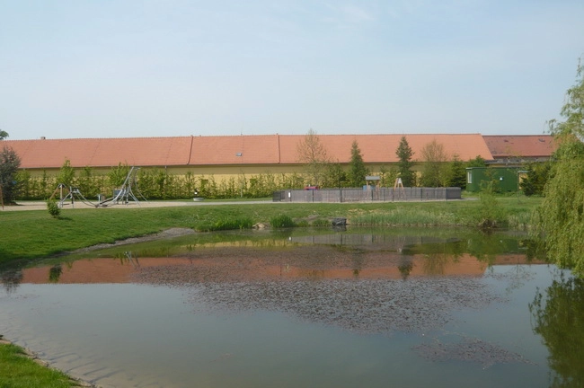 zobacz camping - zdjęcie 11