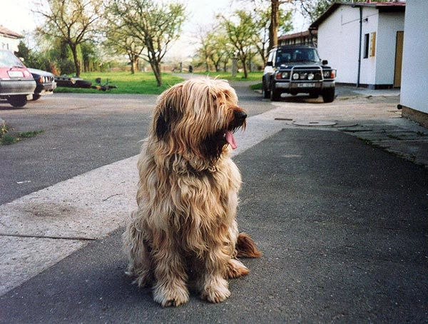 zobacz camping - zdjęcie 3