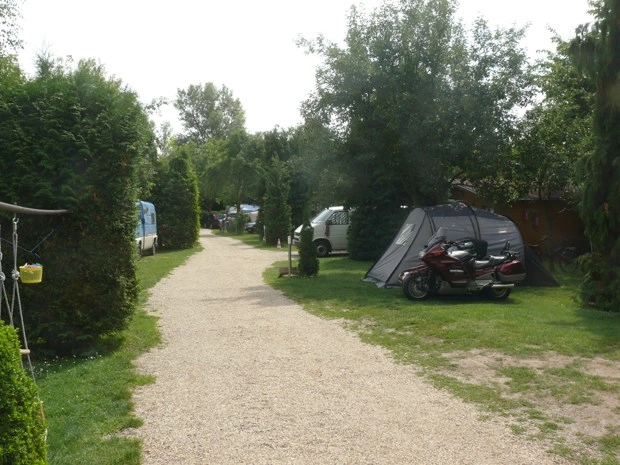 Camp Dana Troja - zdjęcie 4