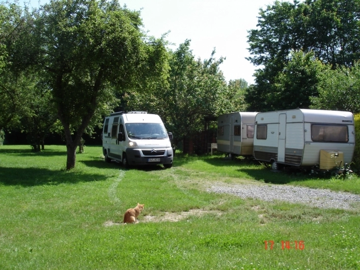 Camp Herzog - zdjęcie 1