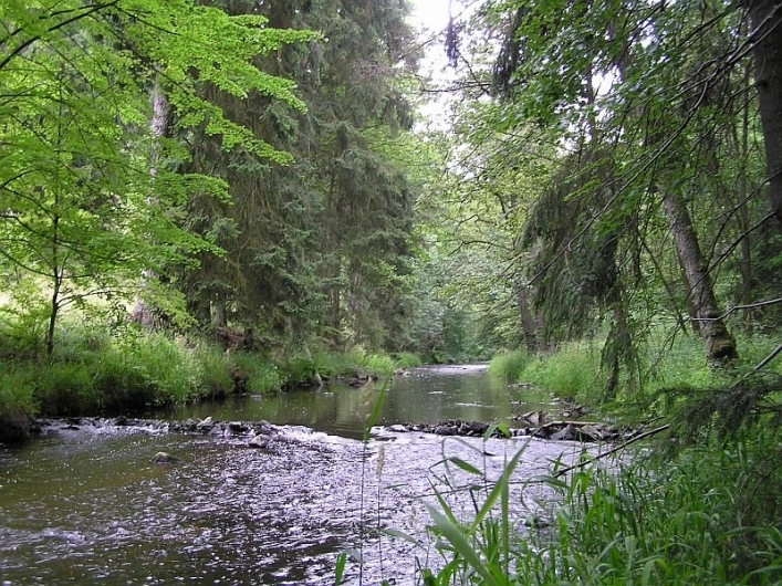 zobacz camping - zdjęcie 22