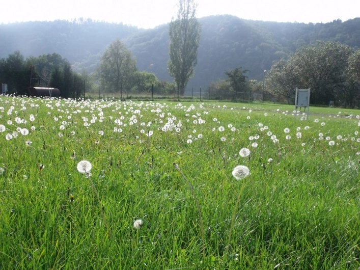 Camp Matyás - zdjęcie 1