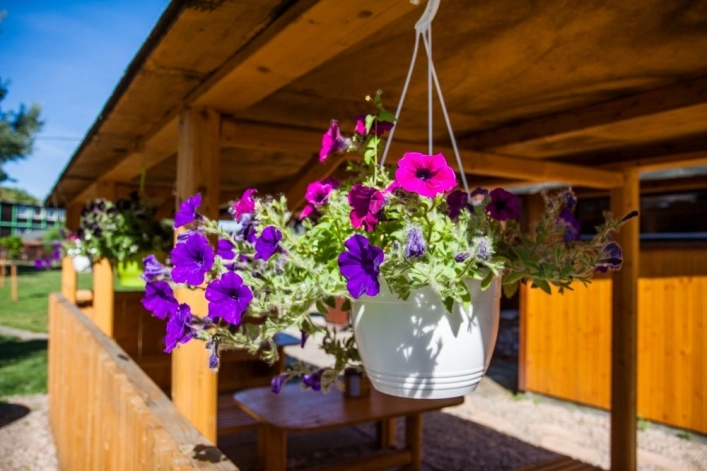 zobacz camping - zdjęcie 2