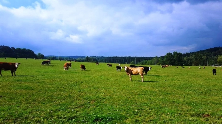 zobacz camping - zdjęcie 5