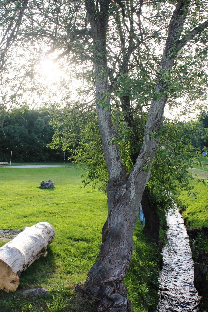 zobacz camping - zdjęcie 2