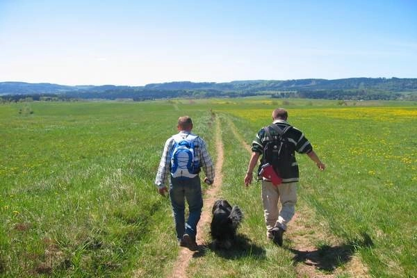 zobacz camping - zdjęcie 10