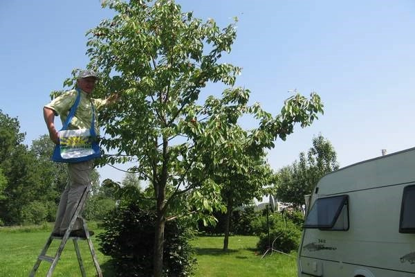 zobacz camping - zdjęcie 6