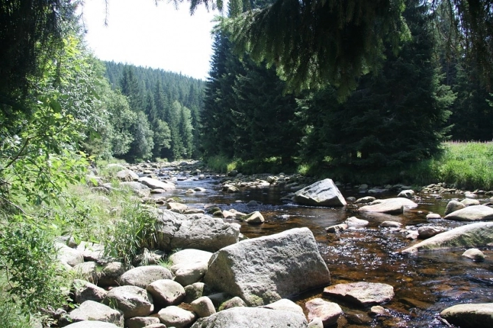 zobacz camping - zdjęcie 21