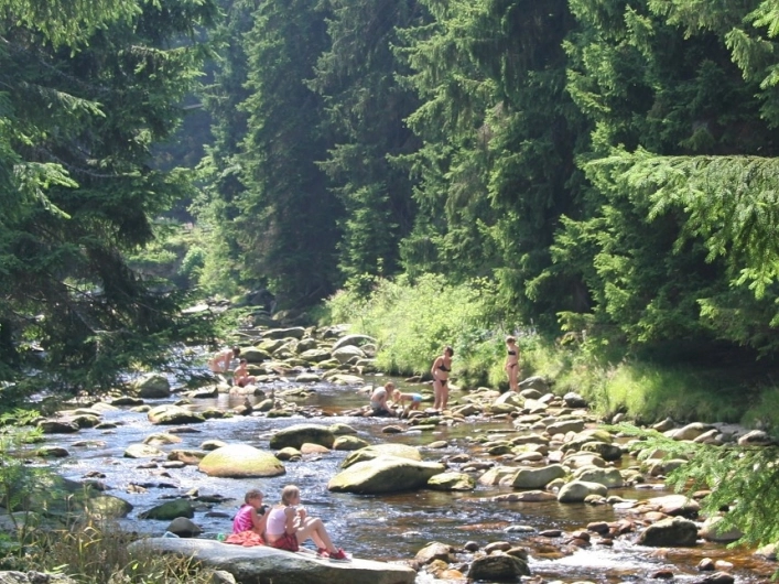 zobacz camping - zdjęcie 19