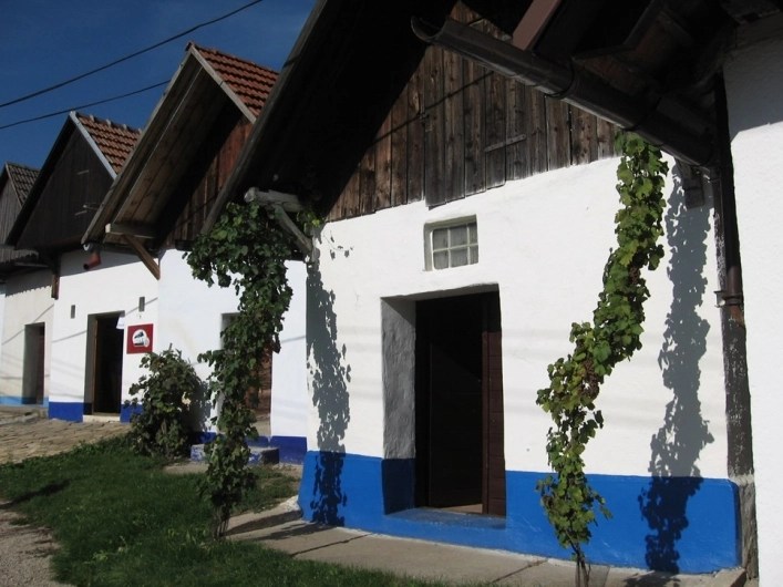 zobacz camping - zdjęcie 21