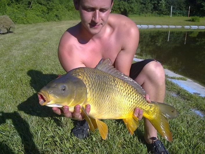 zobacz camping - zdjęcie 18