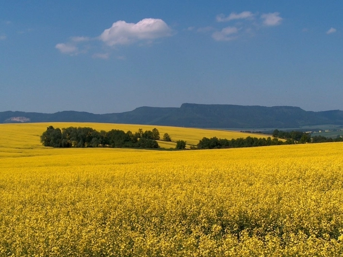 zobacz camping - zdjęcie 19