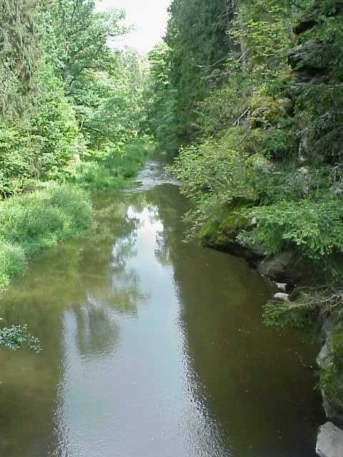 zobacz camping - zdjęcie 5