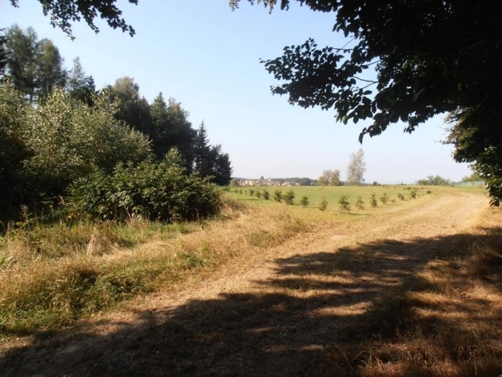 zobacz camping - zdjęcie 5