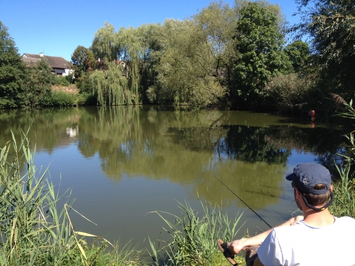 zobacz camping - zdjęcie 14