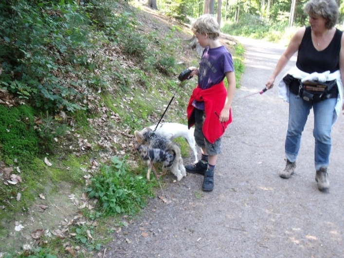 zobacz camping - zdjęcie 12