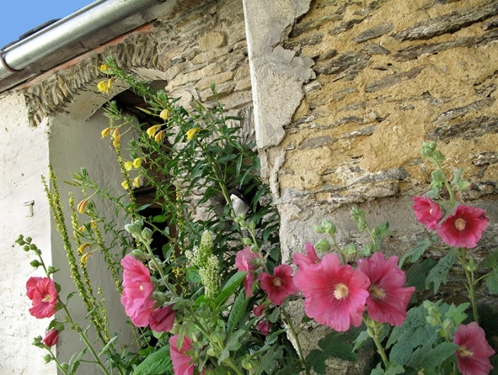 zobacz camping - zdjęcie 11