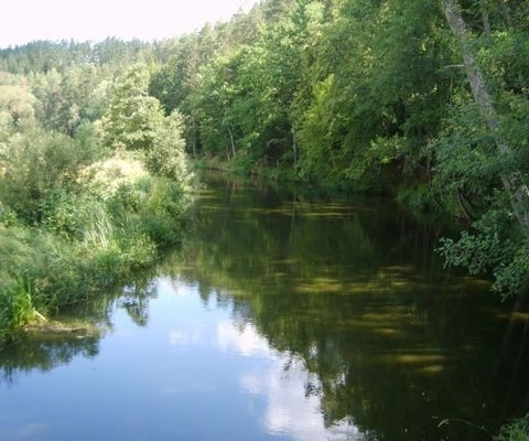 Camping Na Staré Papírně - zdjęcie 2