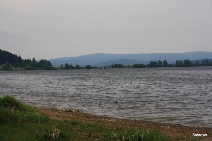 Camping Olsina - zdjęcie 4