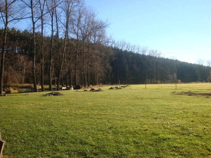 zobacz camping - zdjęcie 11