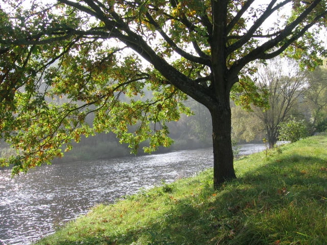 zobacz camping - zdjęcie 7