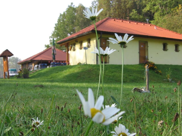 zobacz camping - zdjęcie 6