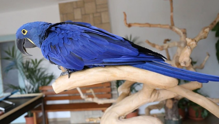 zobacz camping - zdjęcie 15