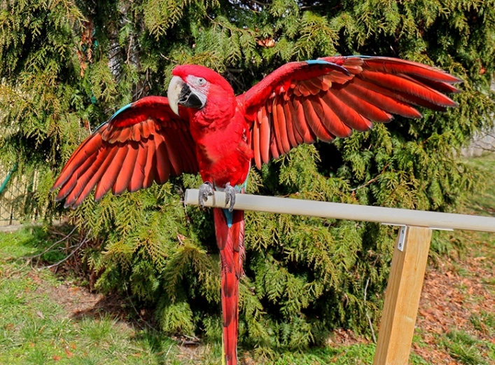 zobacz camping - zdjęcie 14