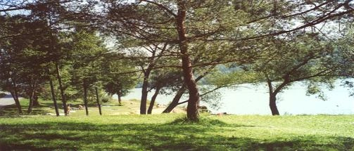 zobacz camping - zdjęcie 2