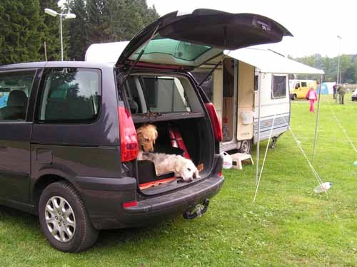 zobacz camping - zdjęcie 12