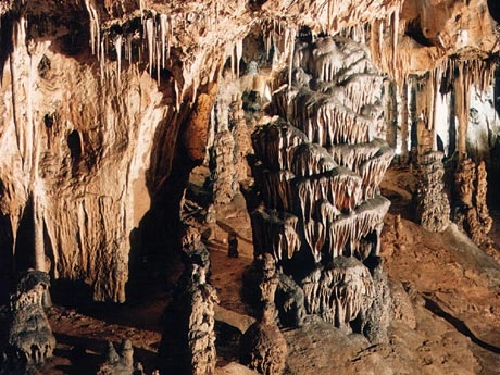 zobacz camping - zdjęcie 4