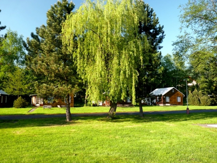 zobacz camping - zdjęcie 15