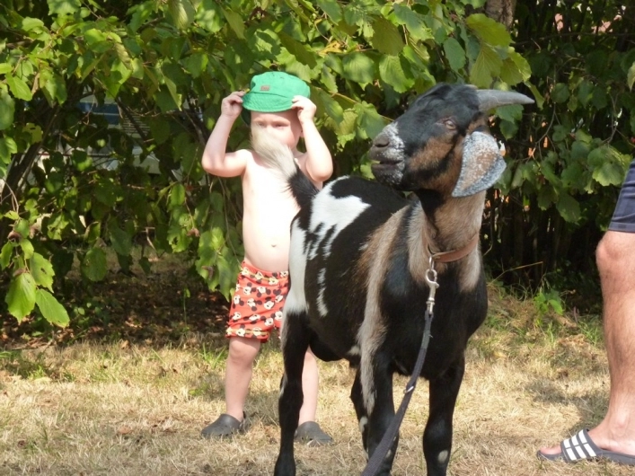 zobacz camping - zdjęcie 7