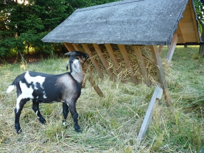 zobacz camping - zdjęcie 3