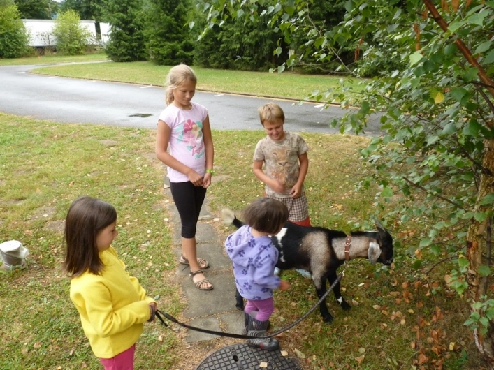 Camping Roznov - zdjęcie 1