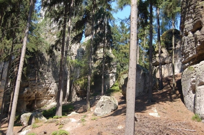 zobacz camping - zdjęcie 12