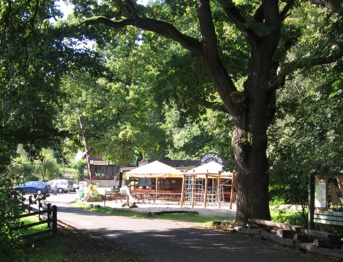 zobacz camping - zdjęcie 10