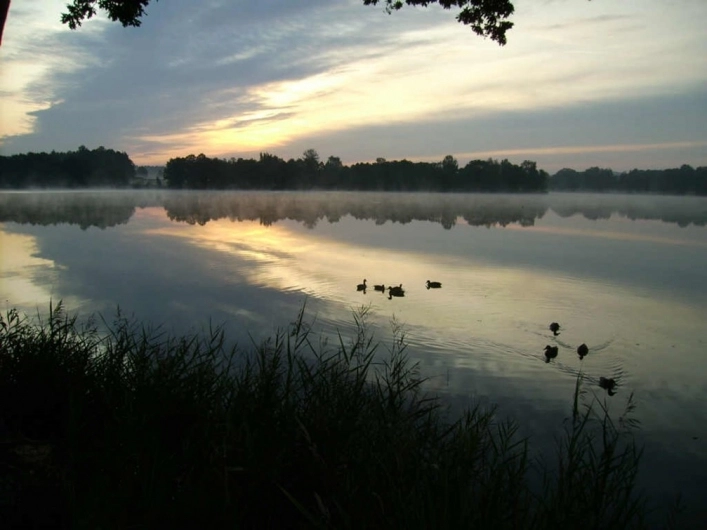 zobacz camping - zdjęcie 15