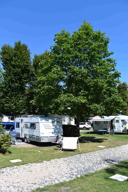 zobacz camping - zdjęcie 11