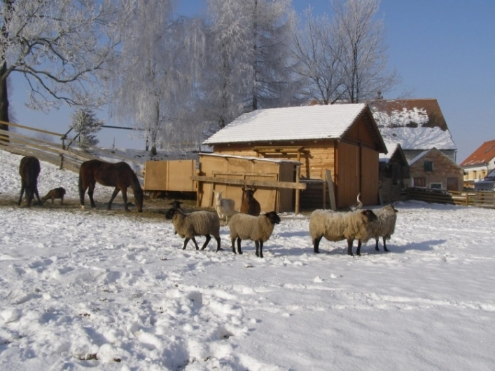zobacz camping - zdjęcie 6