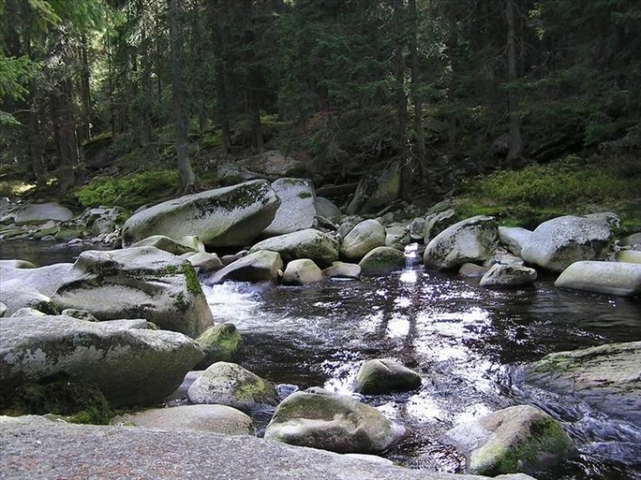 zobacz camping - zdjęcie 14