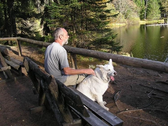 zobacz camping - zdjęcie 13